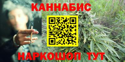 дживик Можга