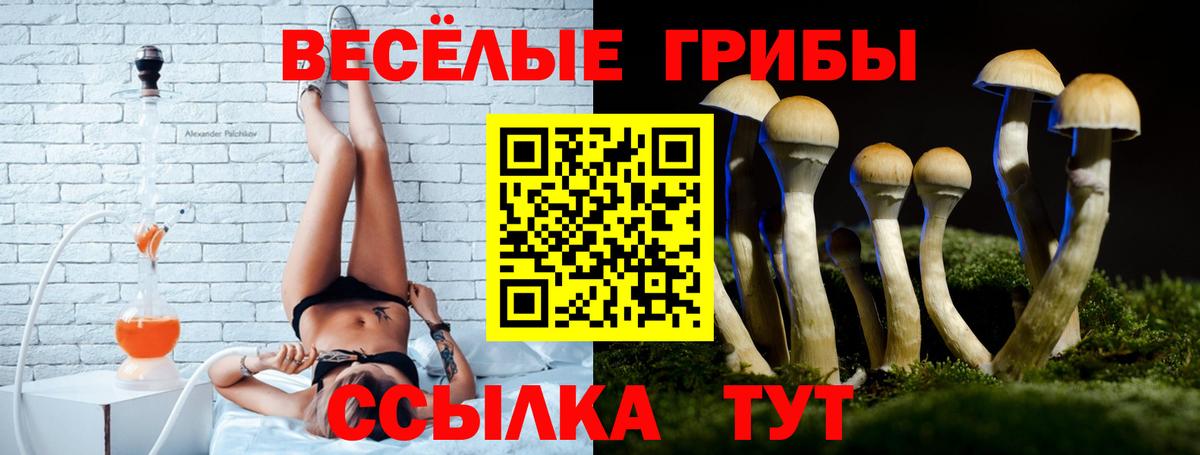 Галлюциногенные грибы прущие грибы  Вход с VPN  Чернушка 